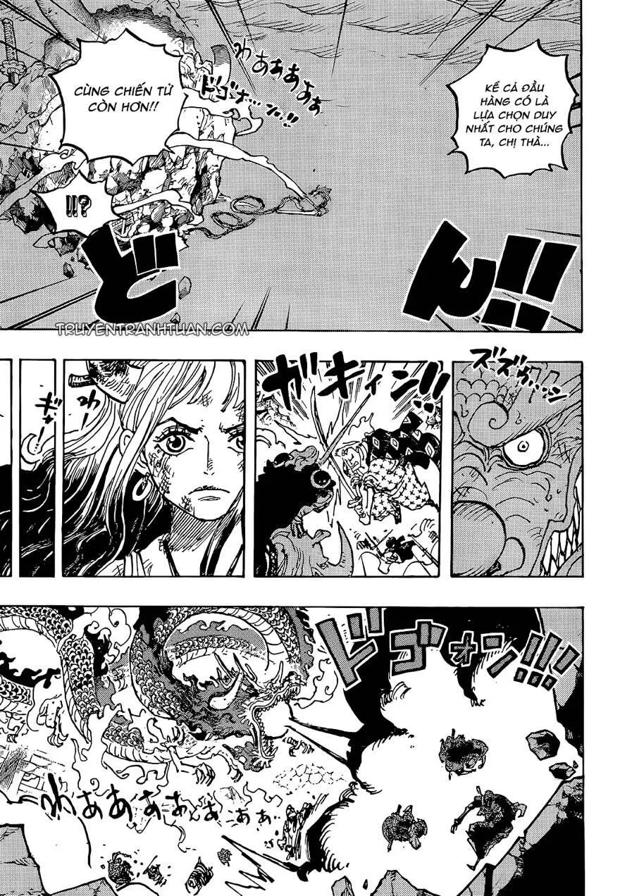 One Piece chương 1043, trang 13