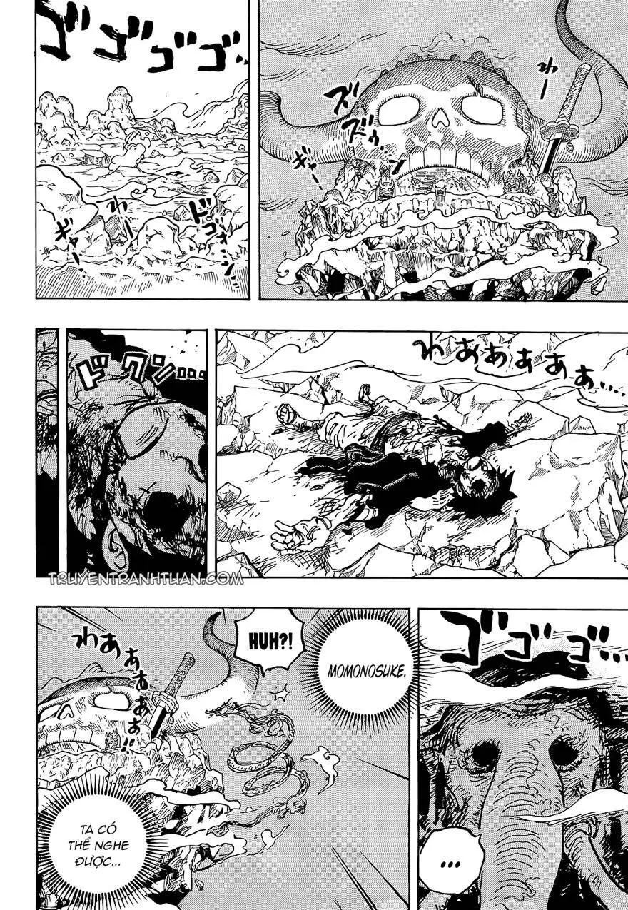 One Piece chương 1043, trang 14