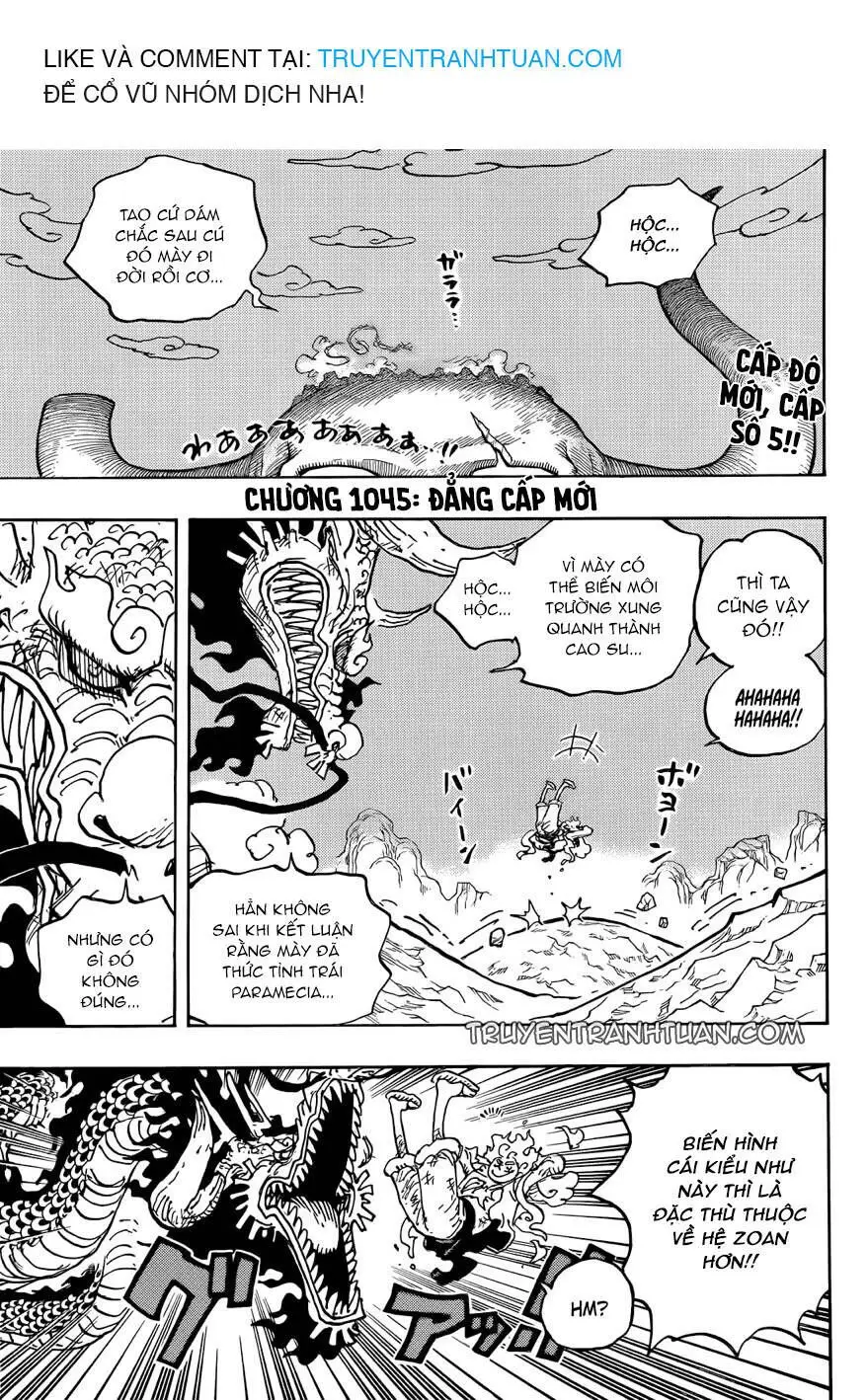 One Piece chương 1045, trang 2