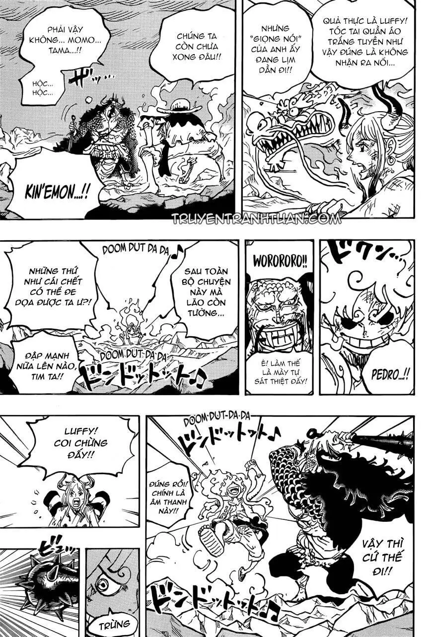 One Piece chương 1045, trang 13
