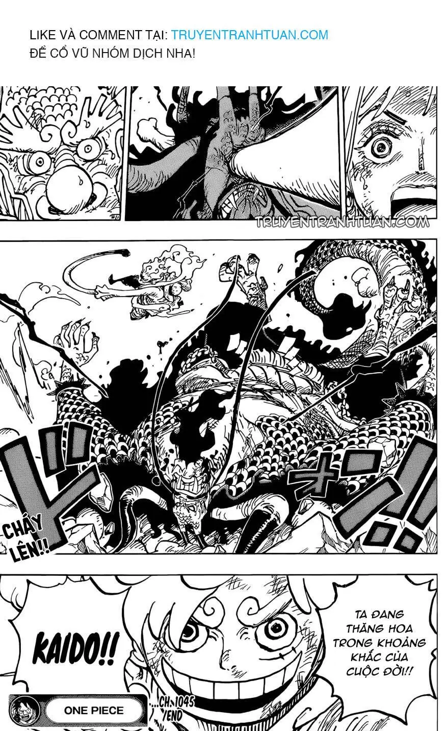 One Piece chương 1045, trang 17