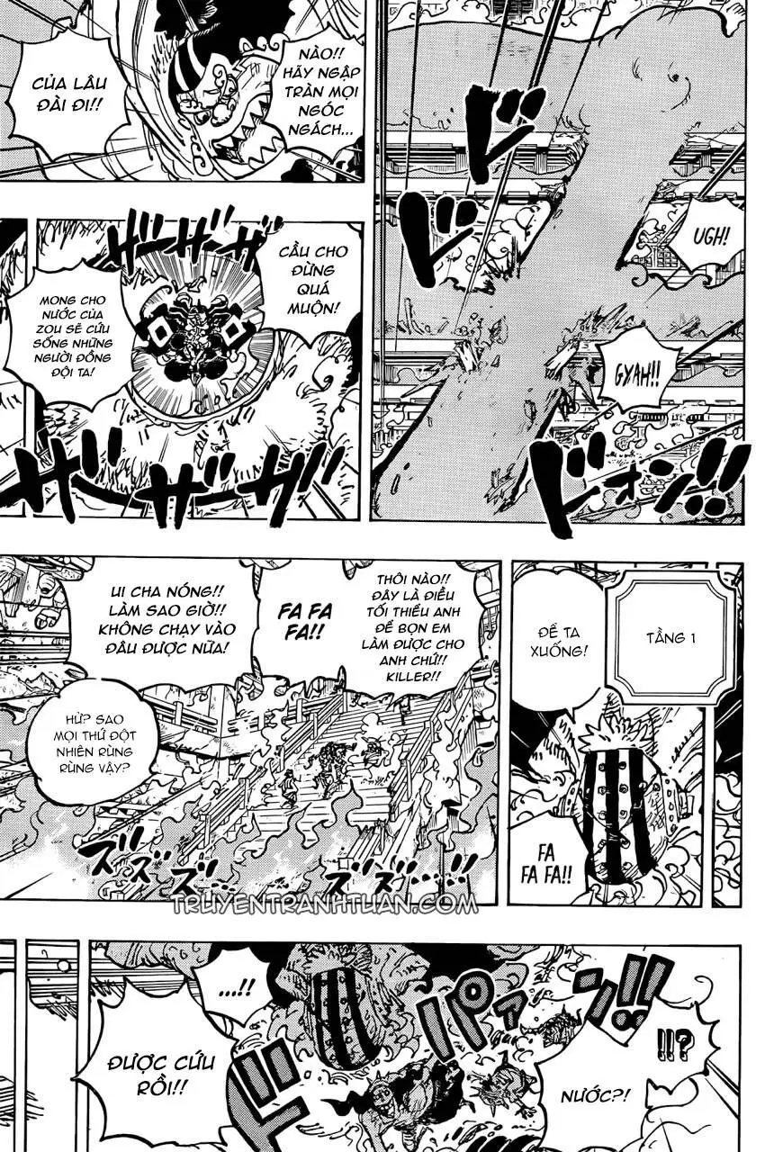One Piece chương 1046, trang 13