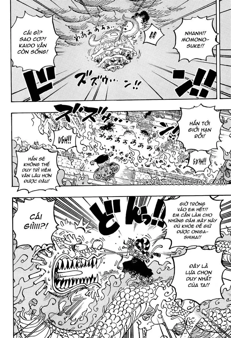 One Piece chương 1046, trang 14