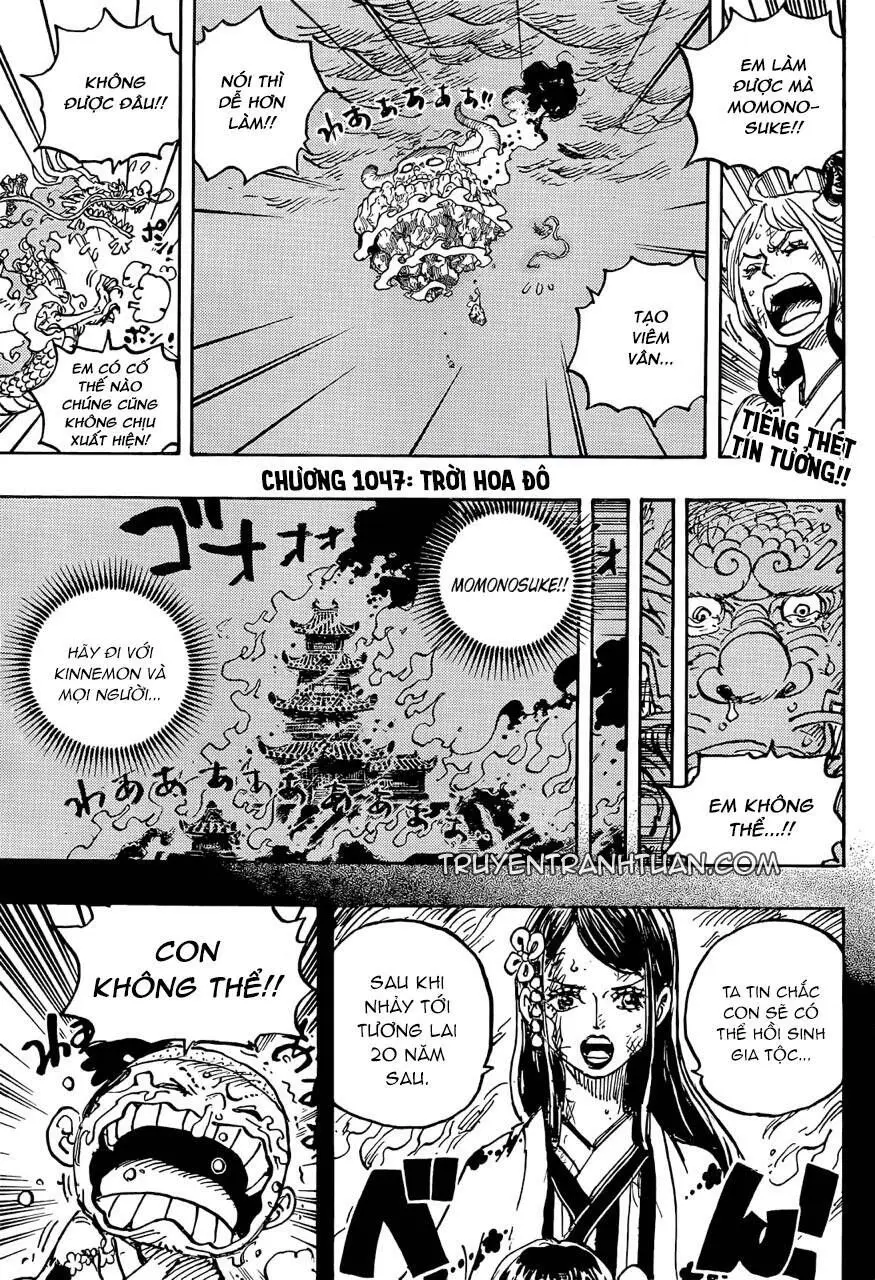 One Piece chương 1047, trang 3