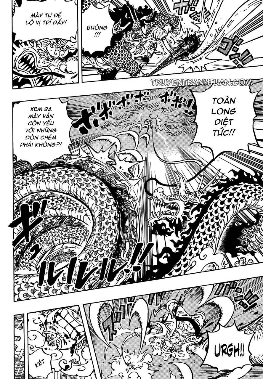 One Piece chương 1047, trang 11
