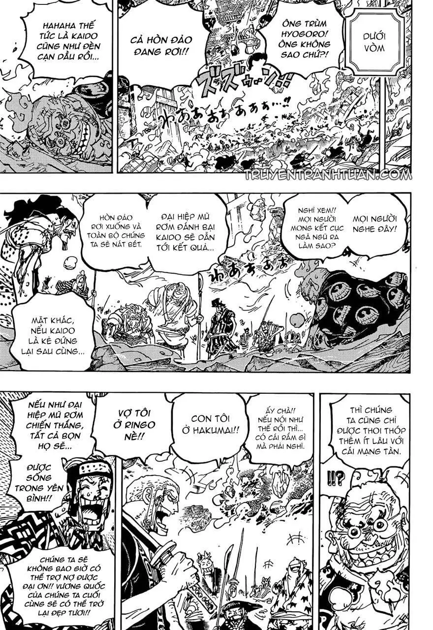 One Piece chương 1047, trang 14
