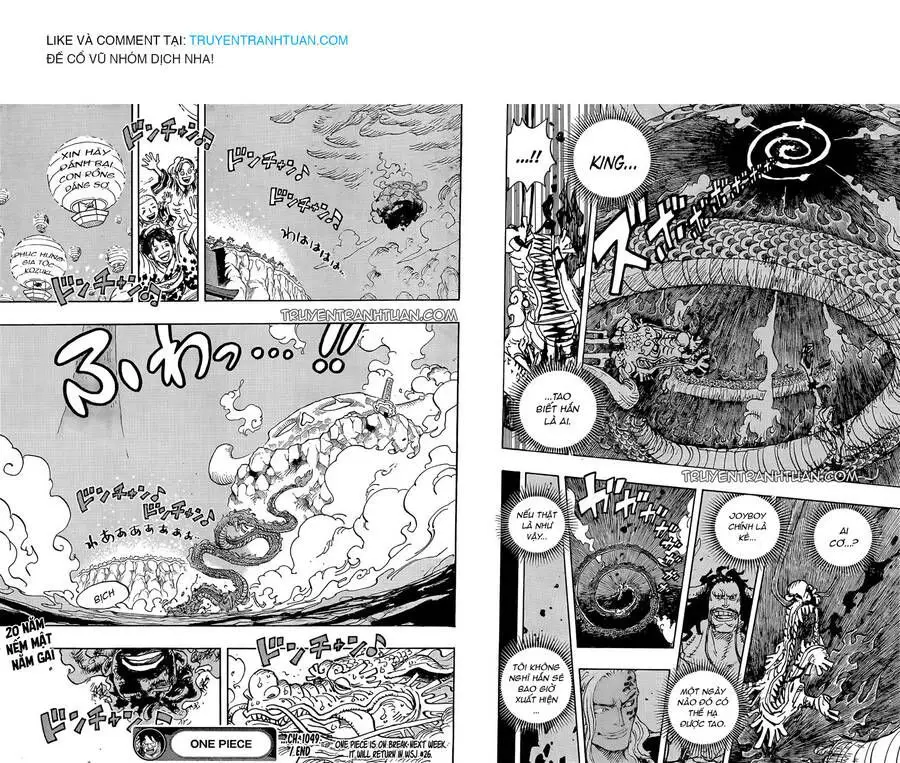 One Piece chương 1049, trang 13