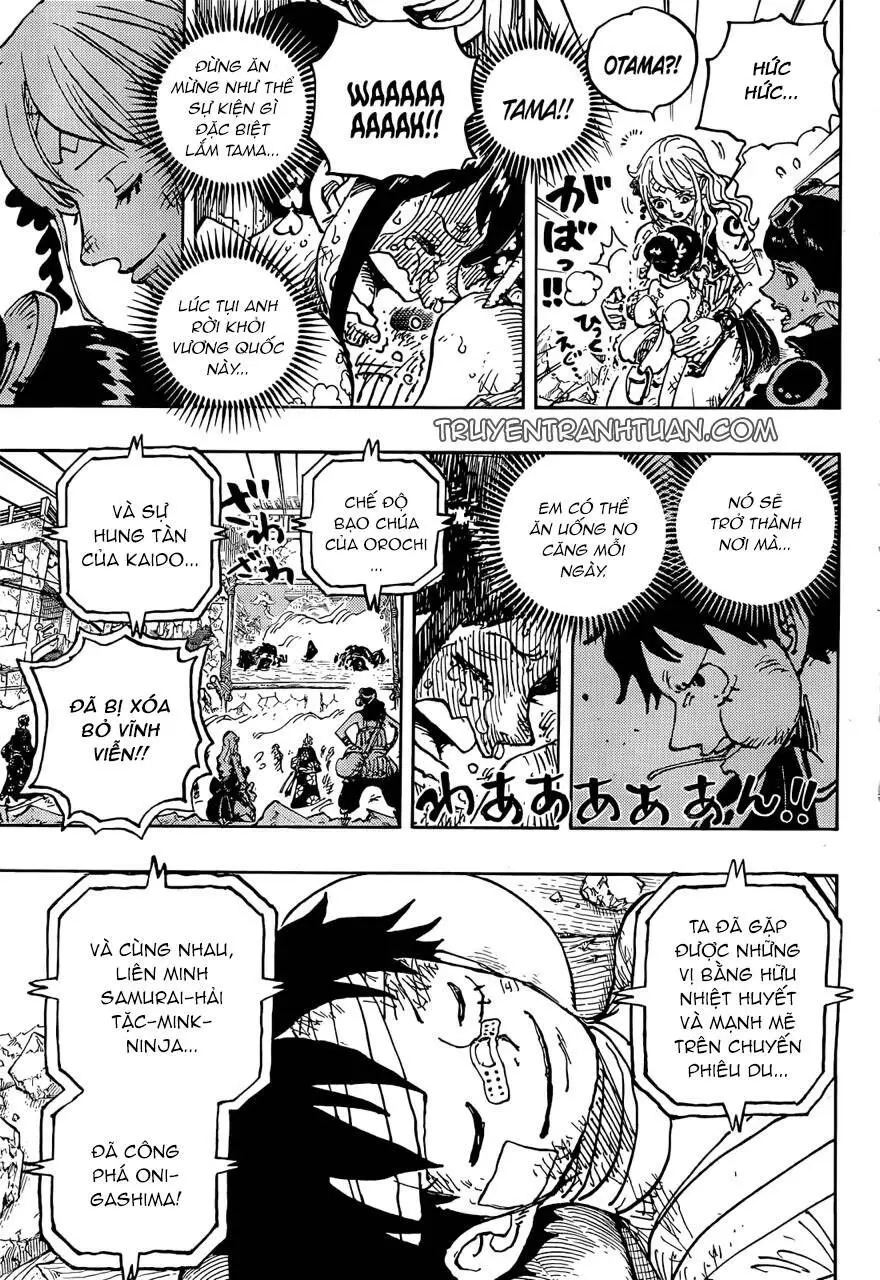 One Piece chương 1051, trang 11