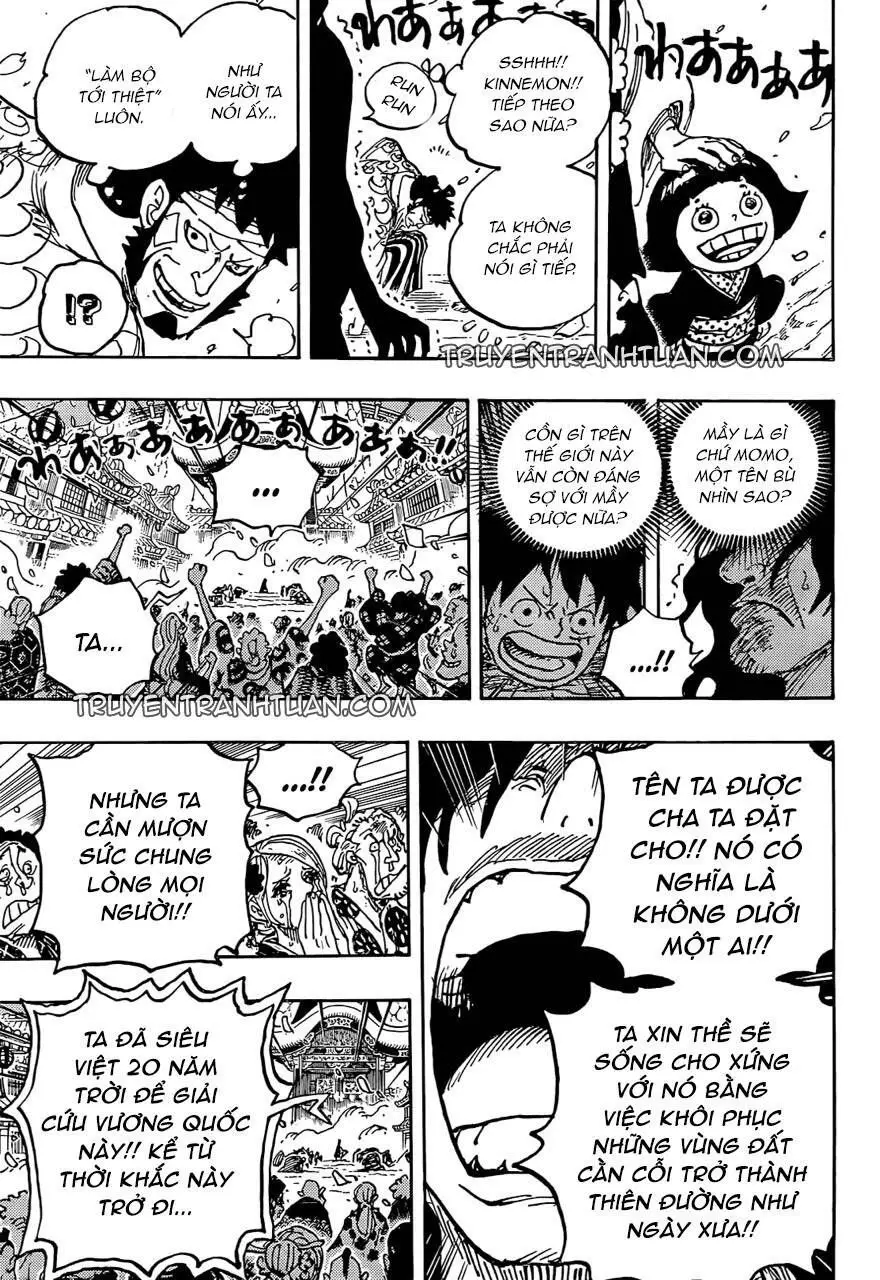One Piece chương 1051, trang 13