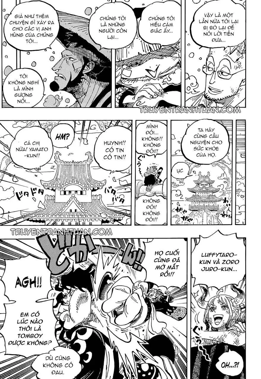 One Piece chương 1052, trang 9