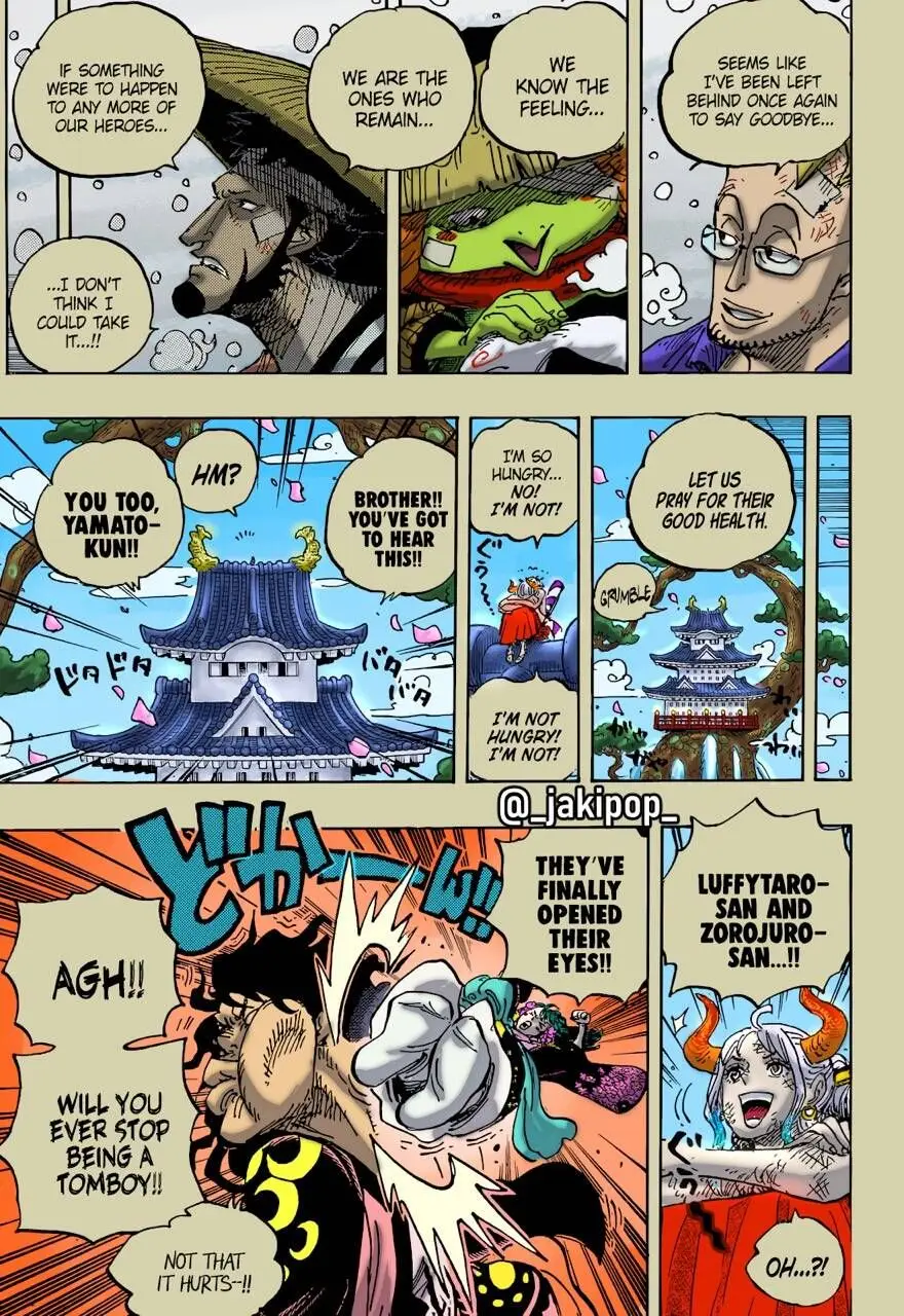 One Piece chương 1052, trang 17