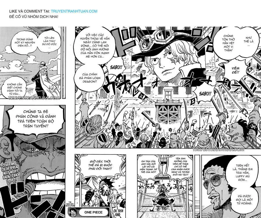 One Piece chương 1054, trang 16