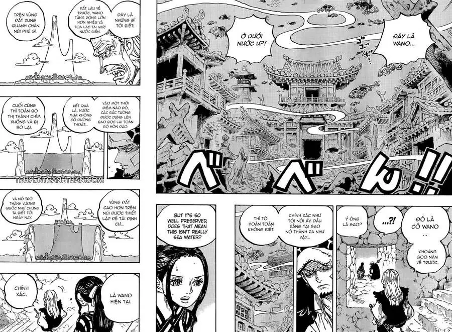 One Piece chương 1055, trang 9