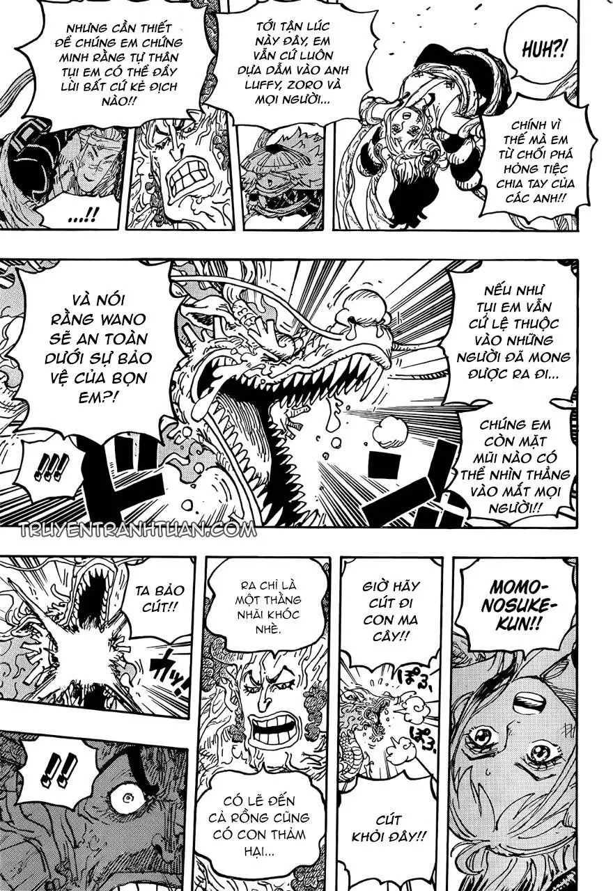 One Piece chương 1055, trang 13