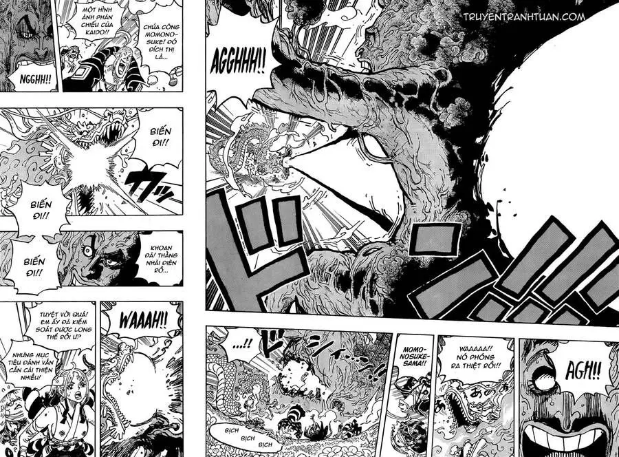 One Piece chương 1055, trang 14