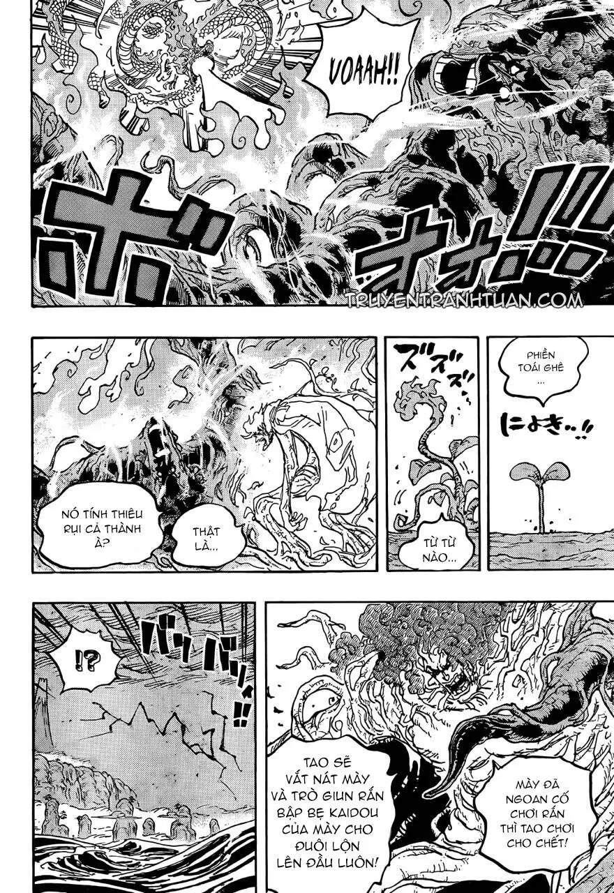 One Piece chương 1055, trang 15