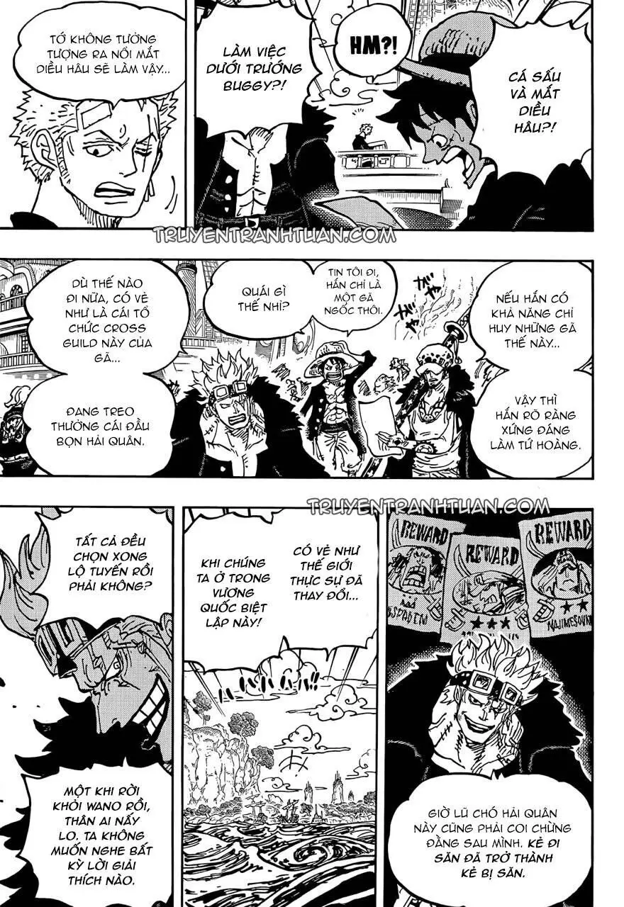 One Piece chương 1056, trang 16