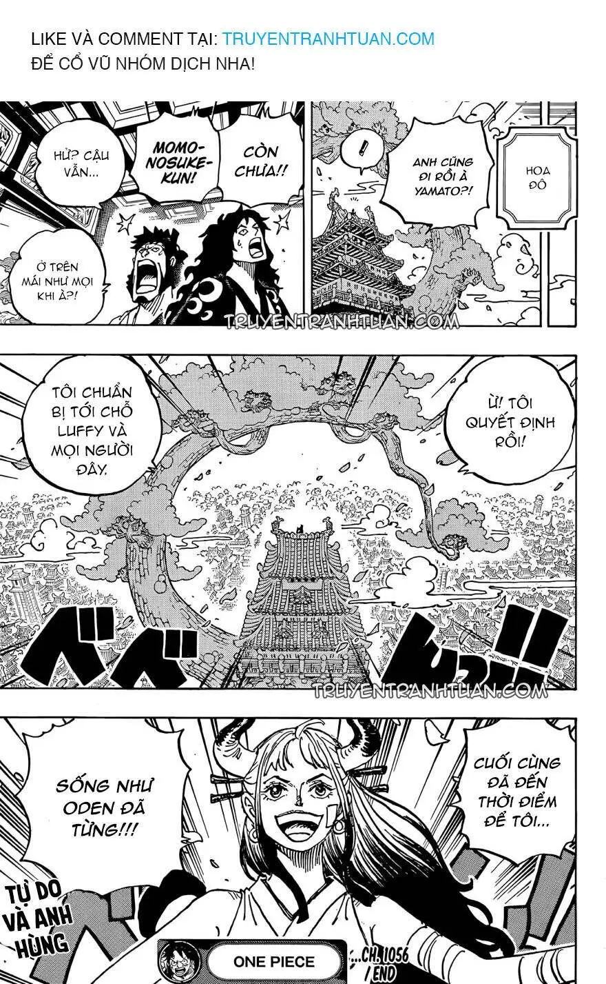 One Piece chương 1056, trang 18