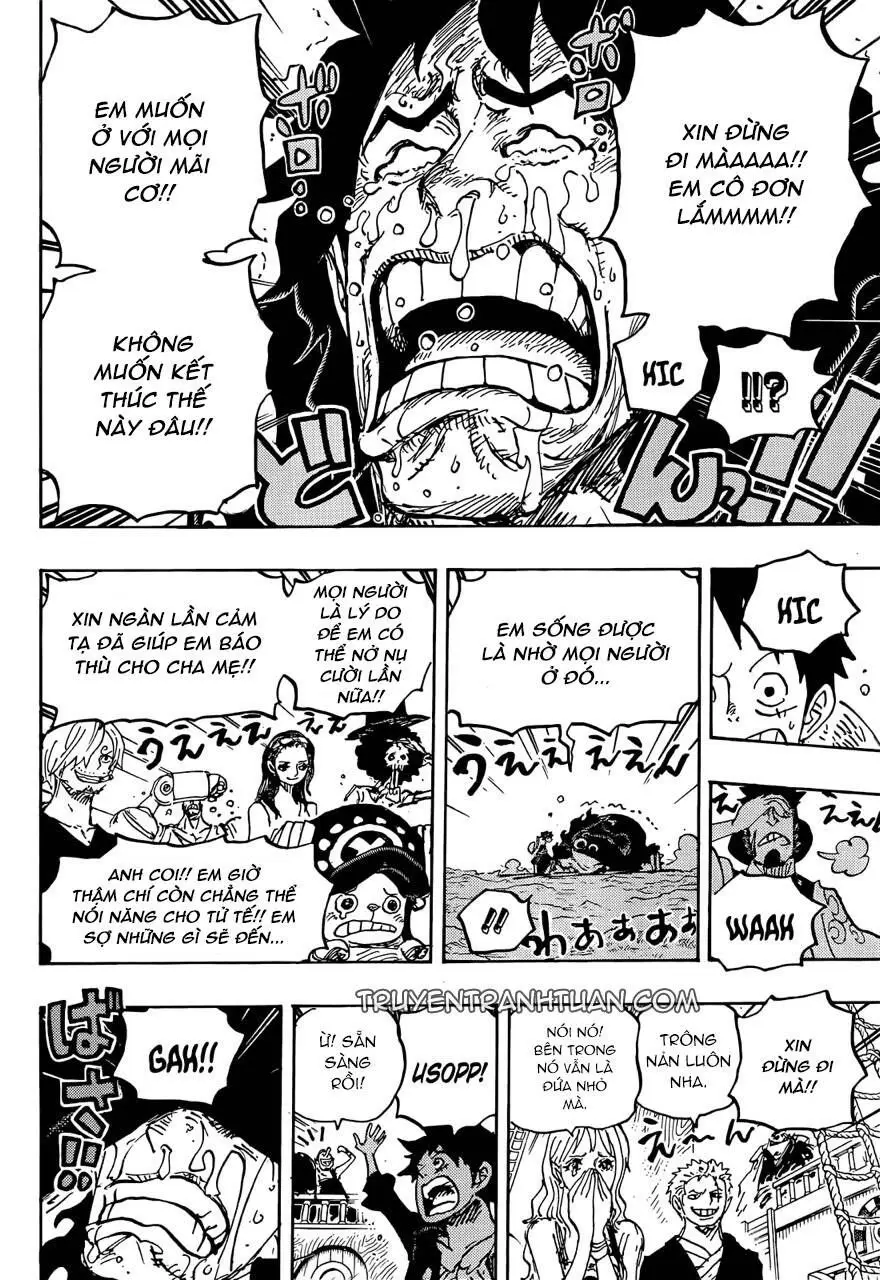 One Piece chương 1057, trang 9