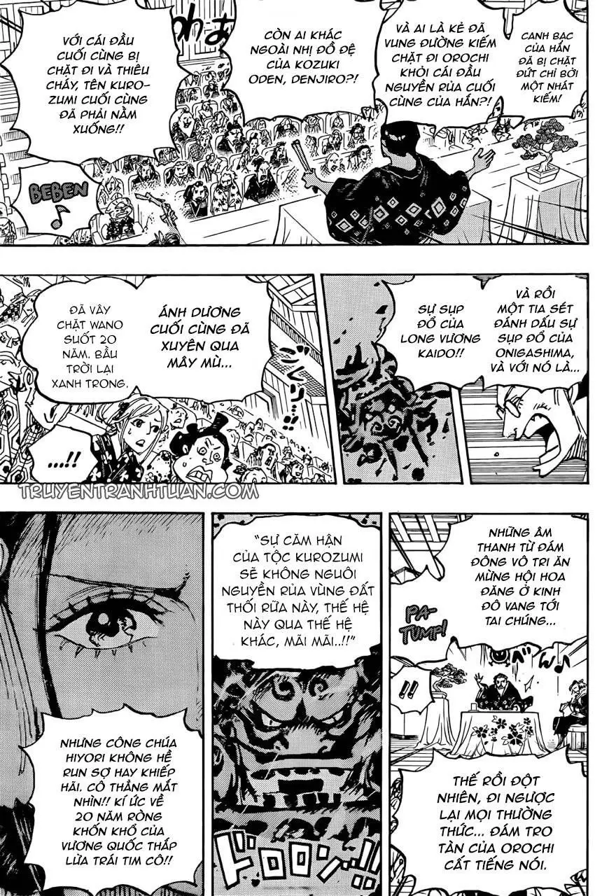 One Piece chương 1057, trang 14