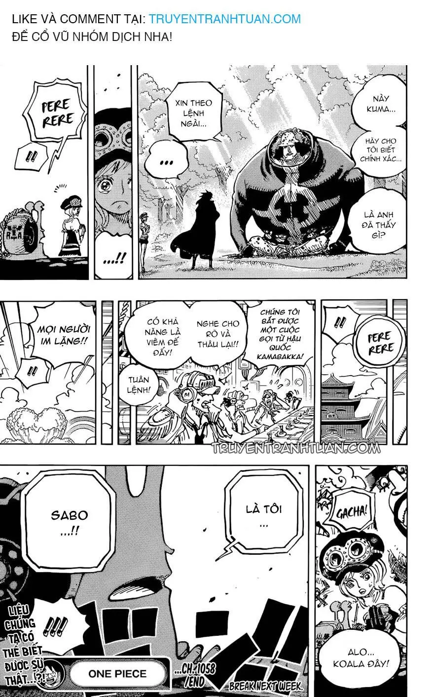 One Piece chương 1058, trang 16
