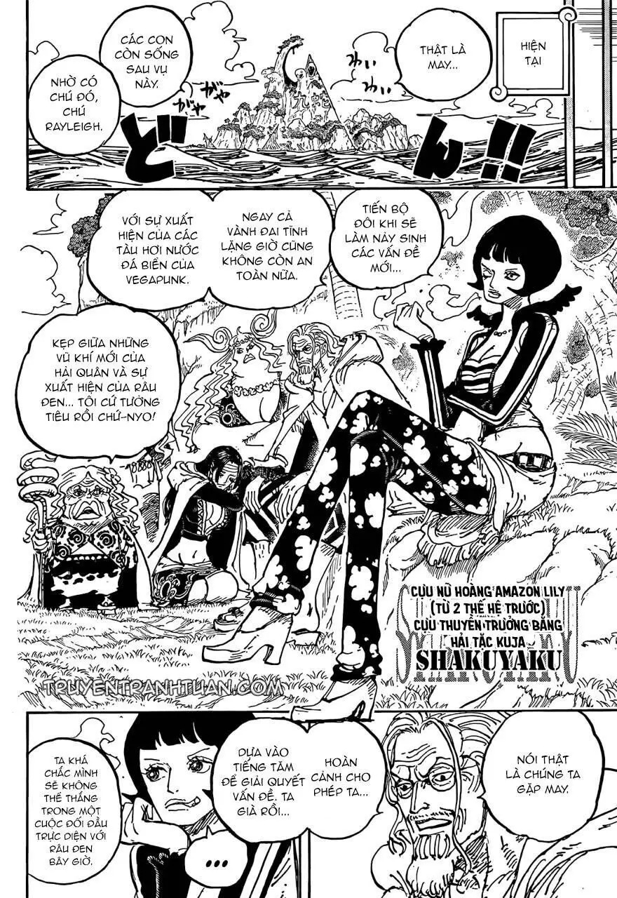 One Piece chương 1059, trang 16