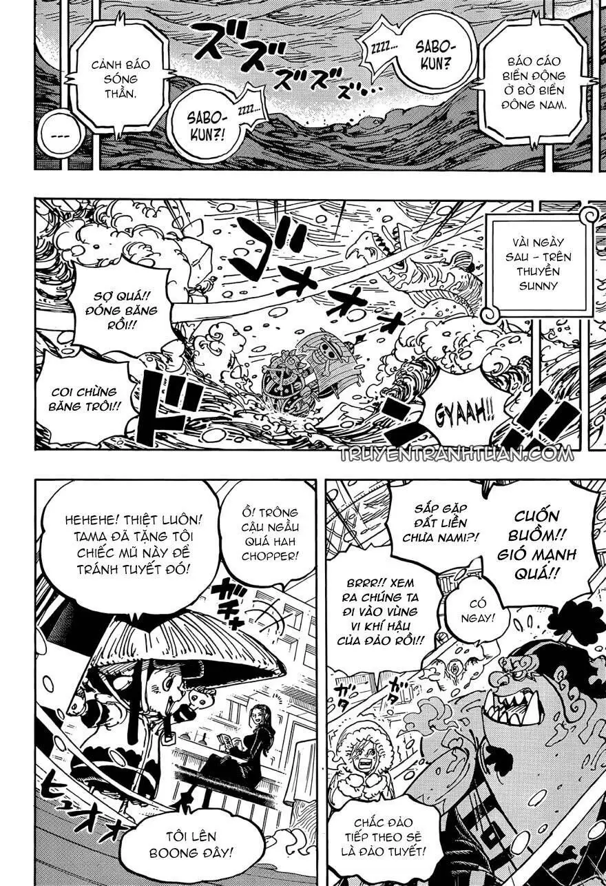 One Piece chương 1060, trang 14