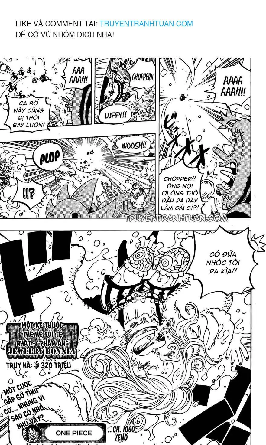 One Piece chương 1060, trang 17