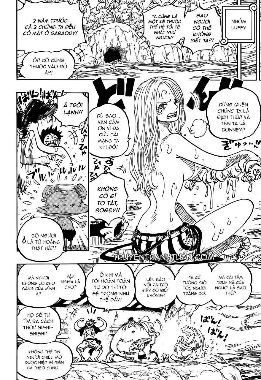 One Piece chương 1061, trang 11
