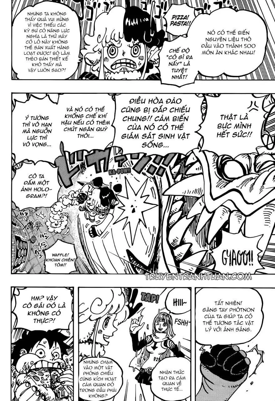 One Piece chương 1062, trang 13