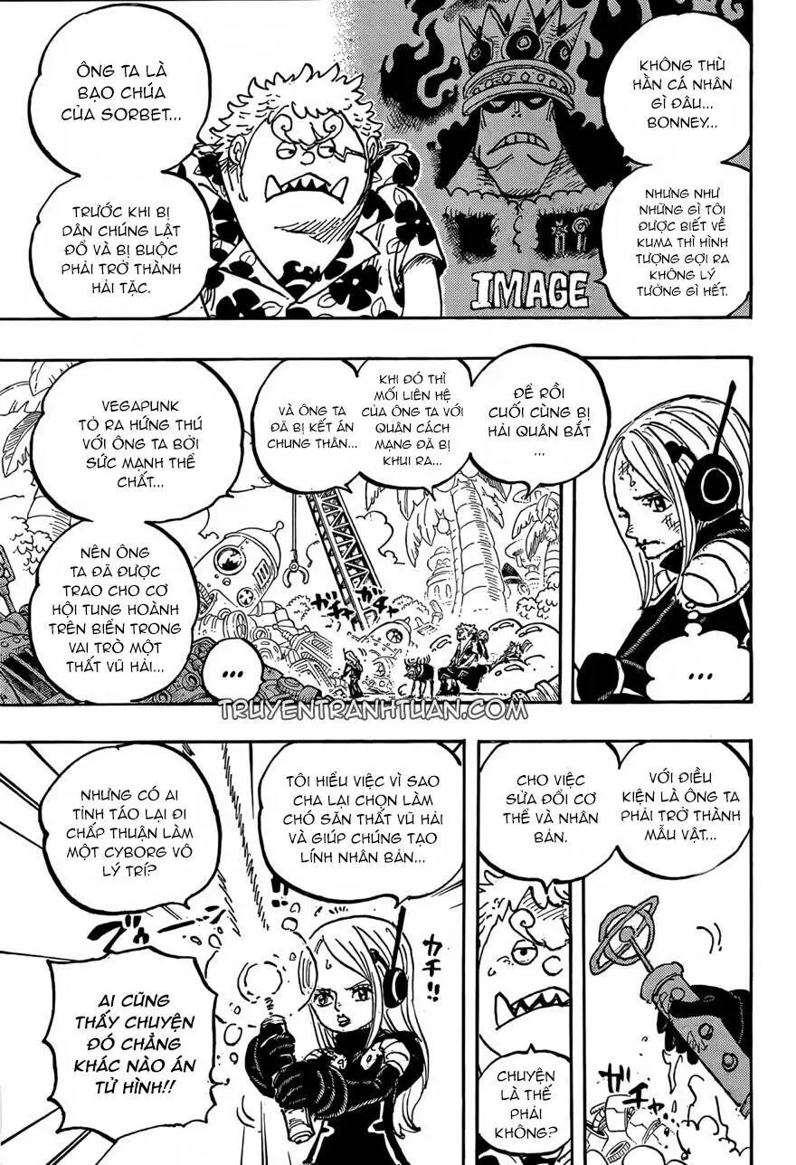 One Piece chương 1064, trang 10