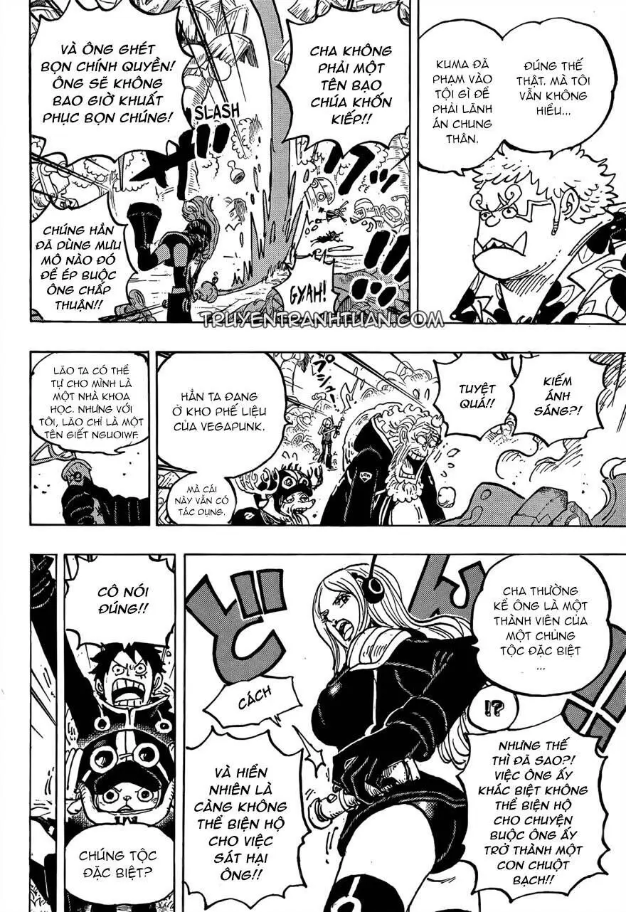 One Piece chương 1064, trang 11