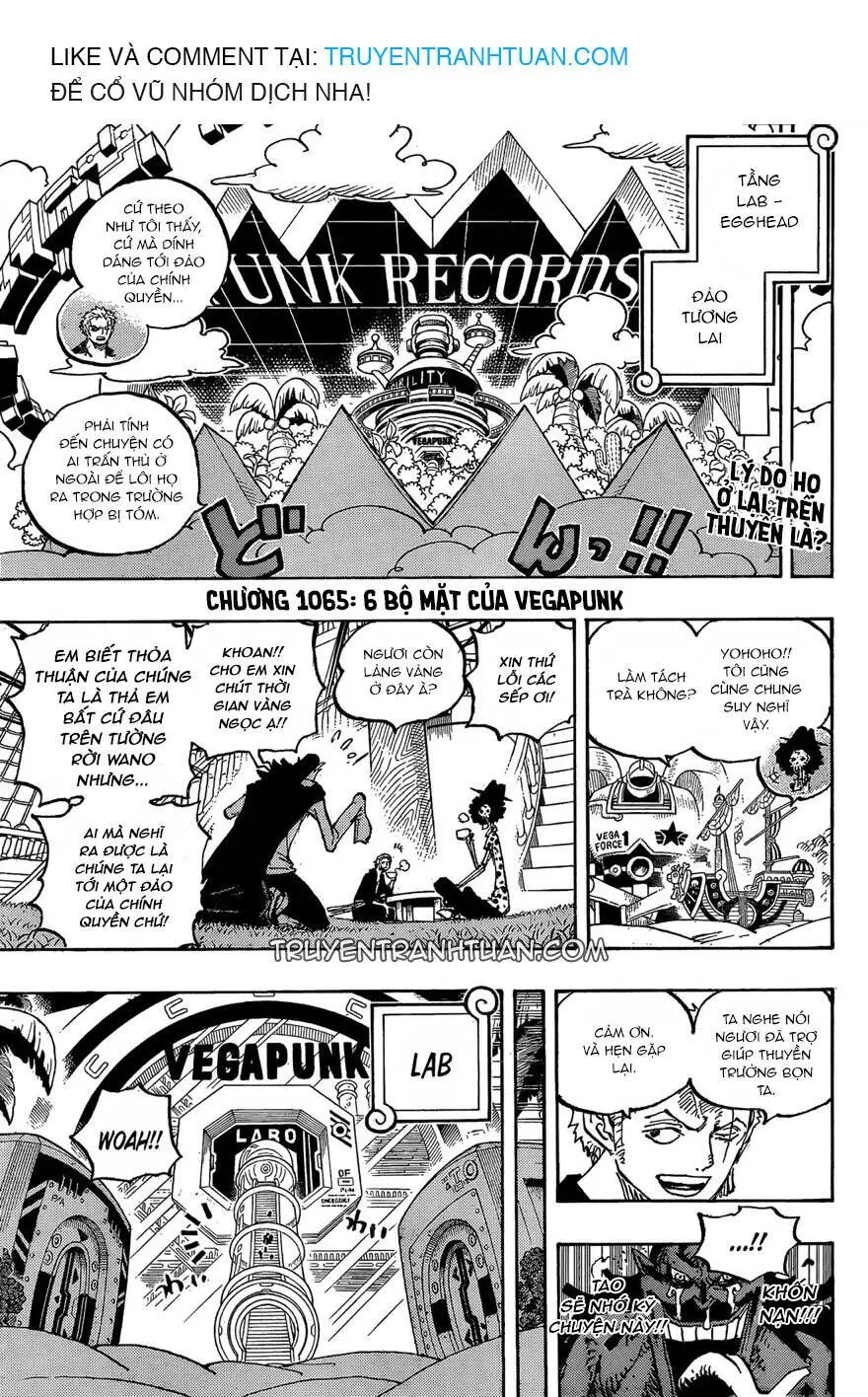 One Piece chương 1065, trang 4