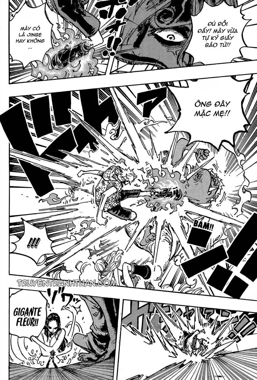 One Piece chương 1065, trang 10
