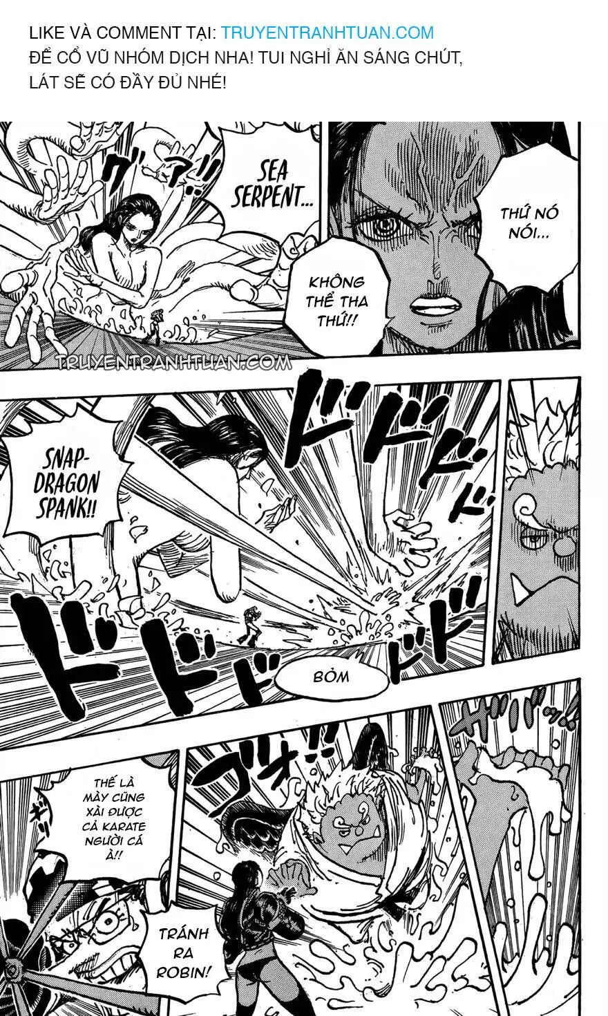 One Piece chương 1065, trang 11