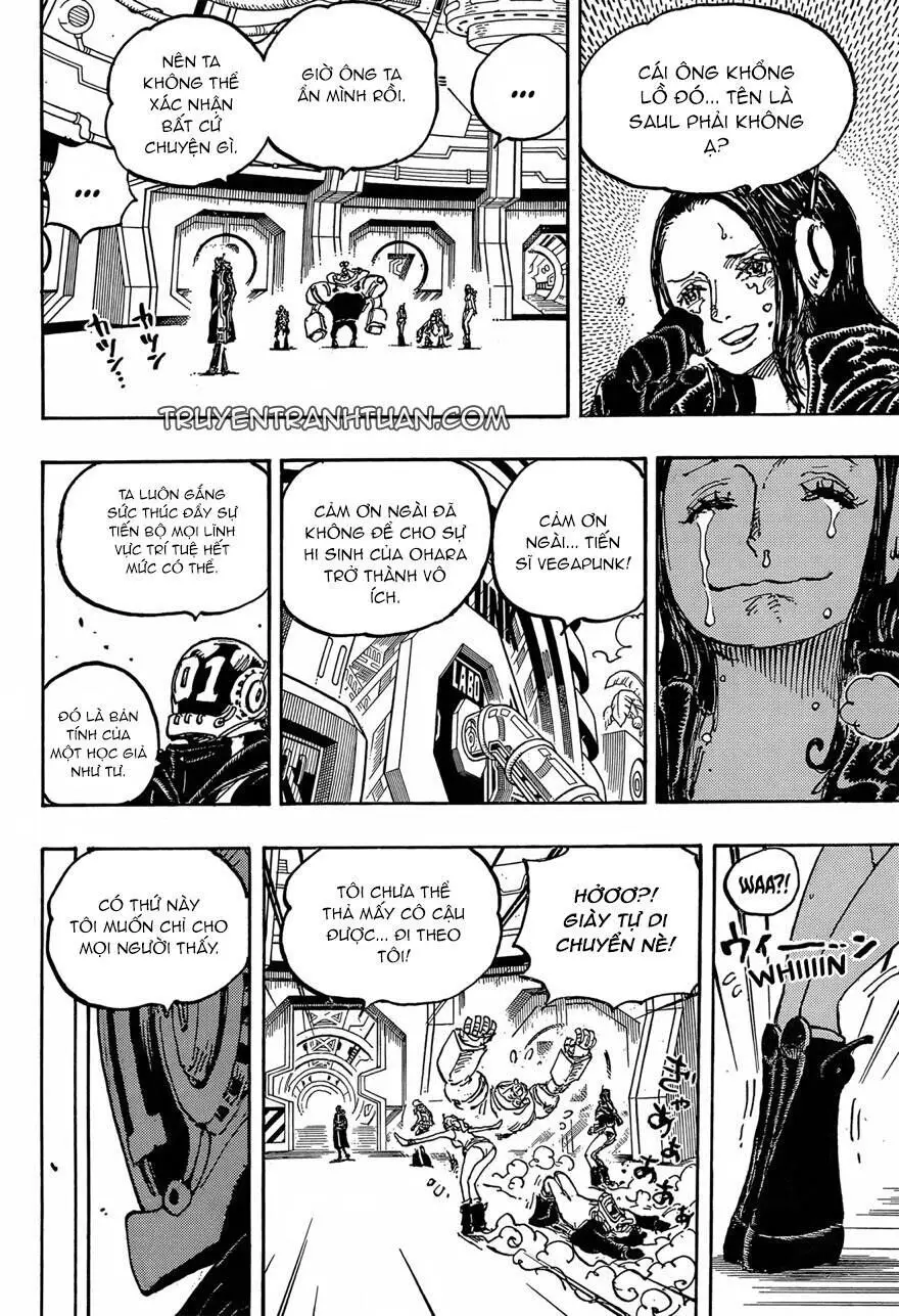 One Piece chương 1066, trang 13