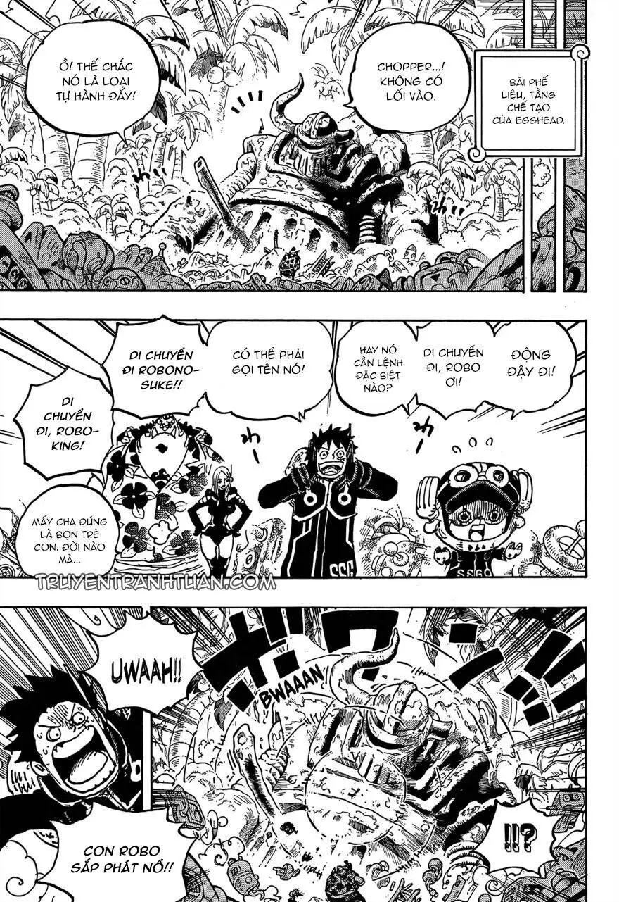 One Piece chương 1066, trang 14