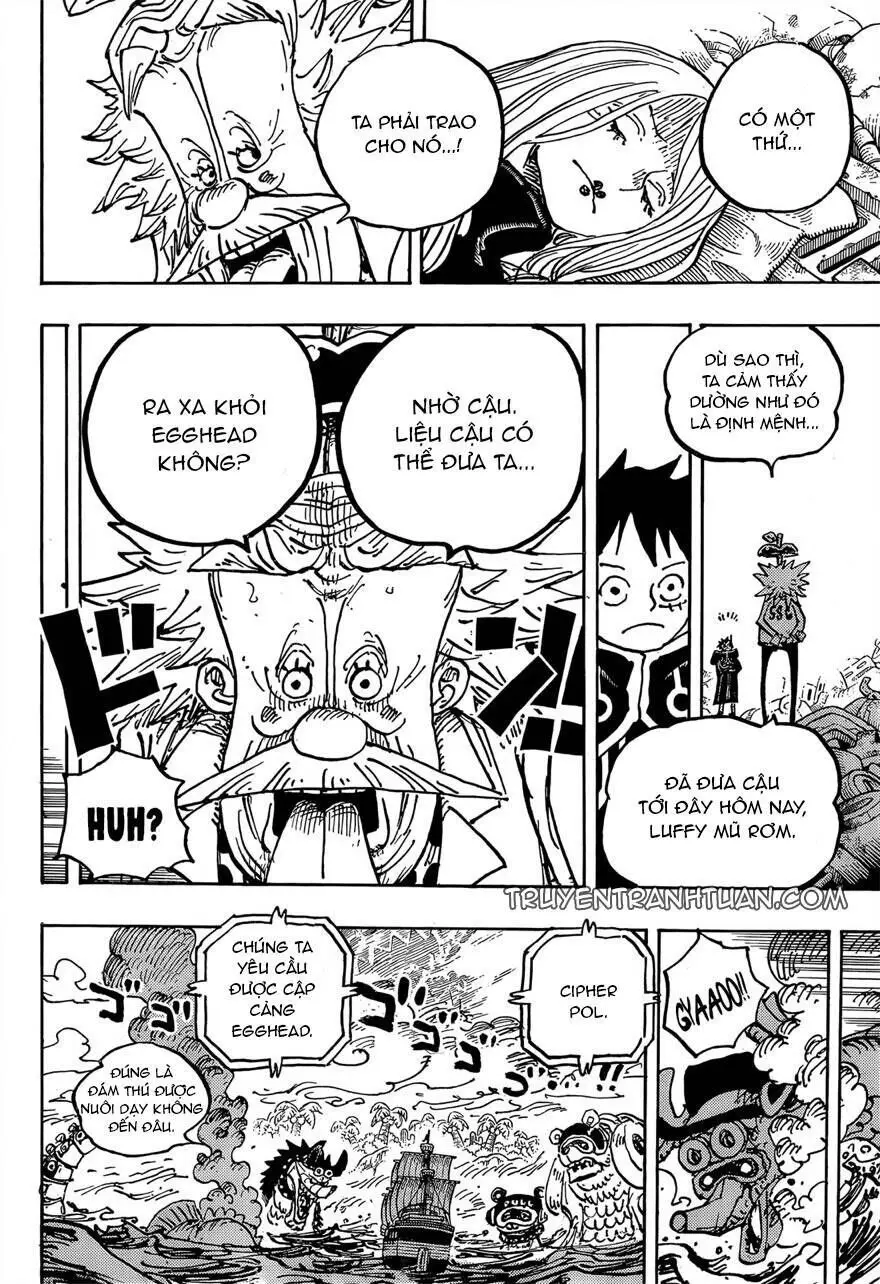 One Piece chương 1067, trang 13