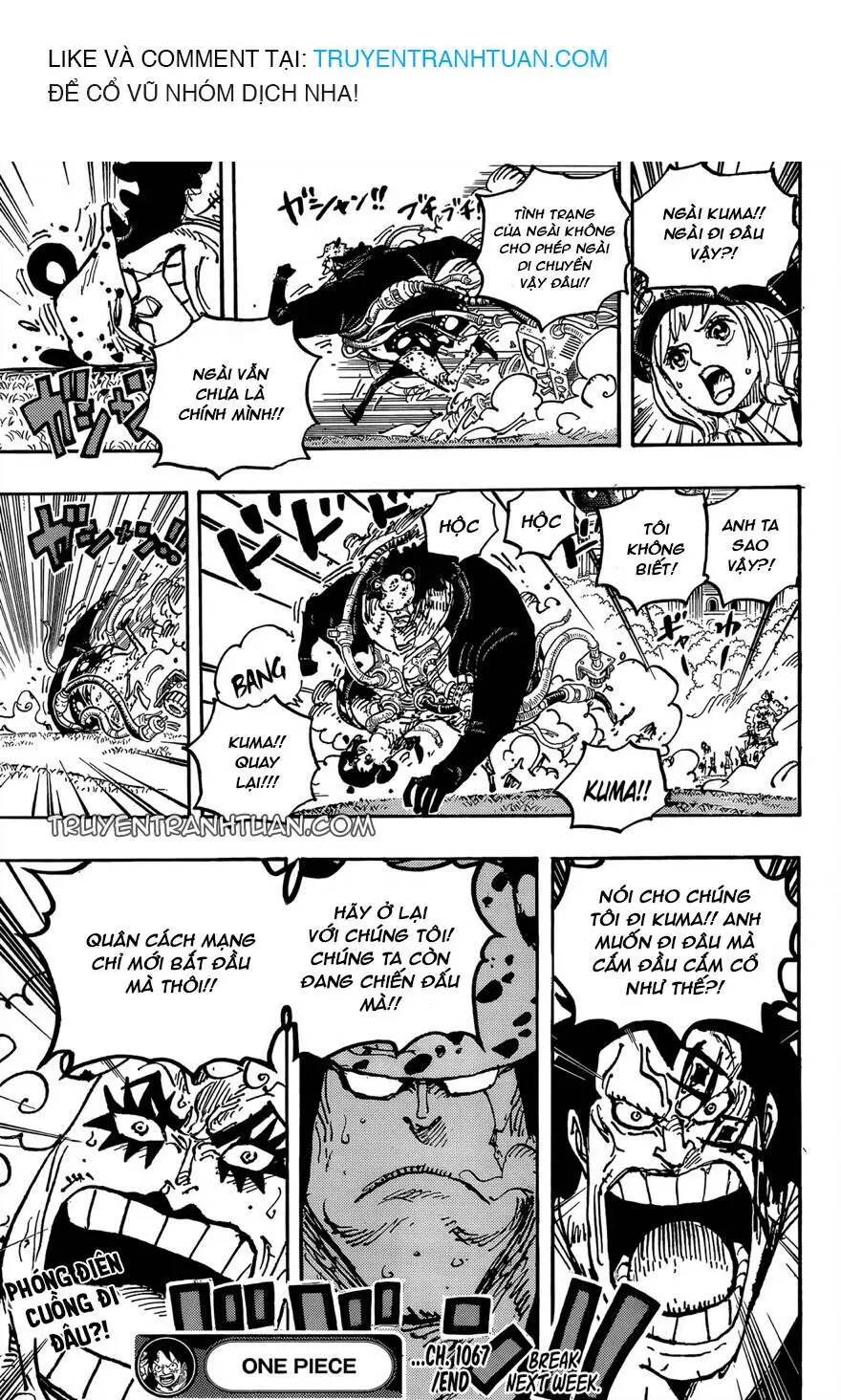 One Piece chương 1067, trang 16