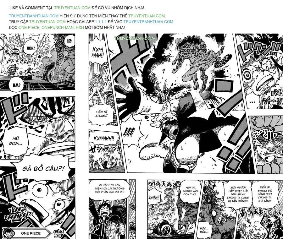 One Piece chương 1068, trang 17