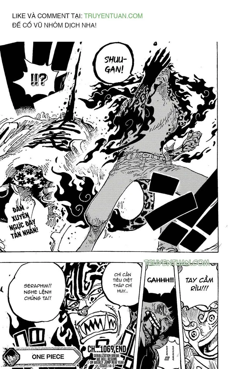 One Piece chương 1069, trang 14
