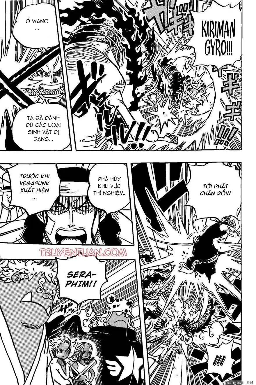 One Piece chương 1072, trang 14
