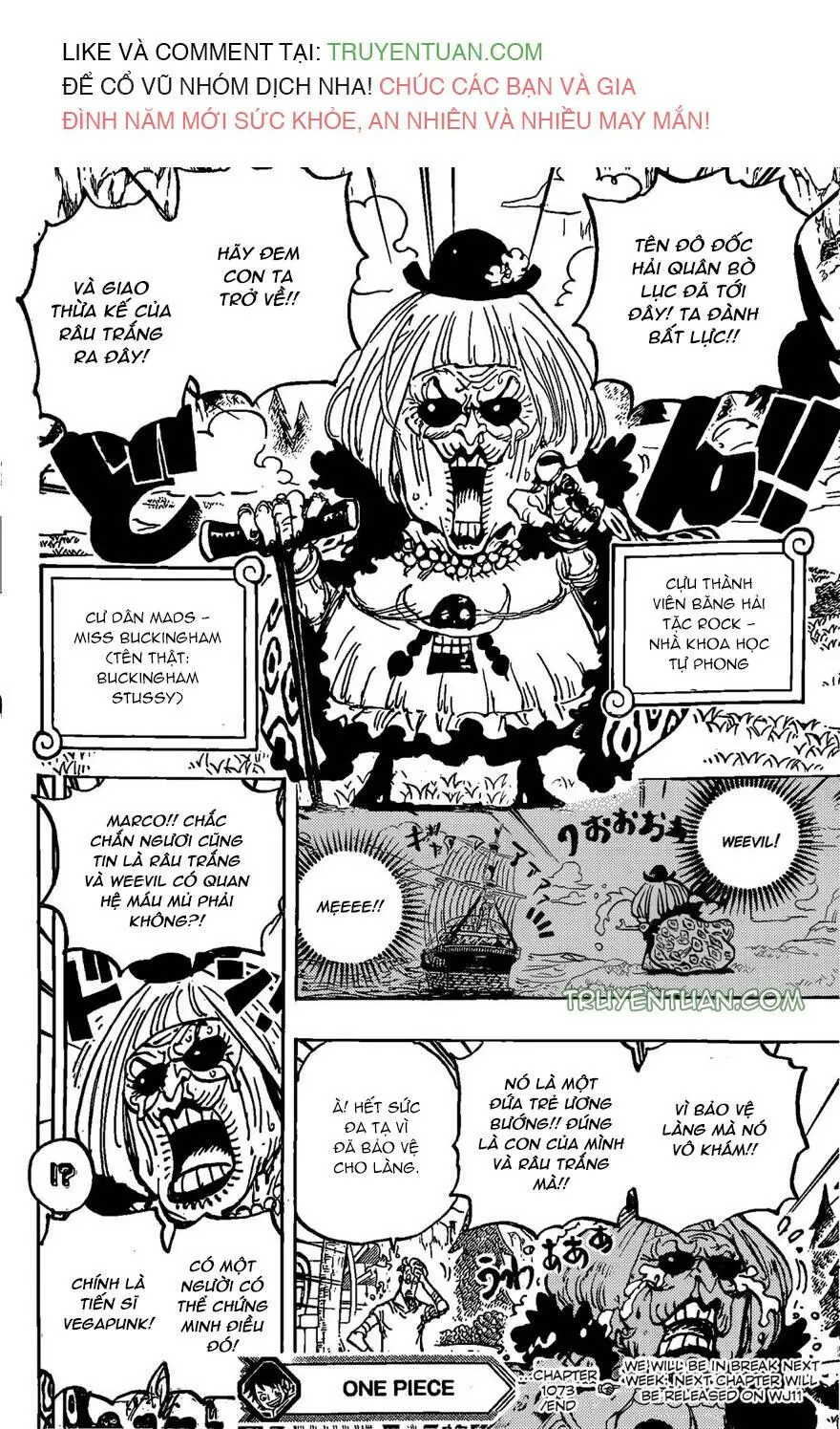 One Piece chương 1073, trang 14