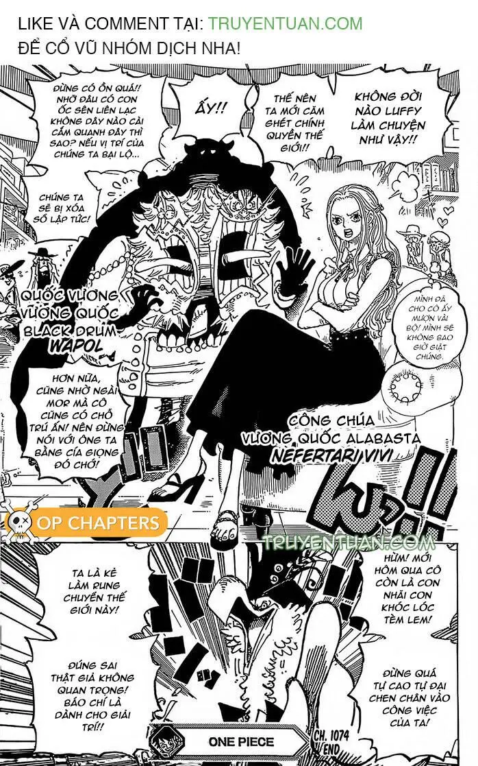 One Piece chương 1074, trang 17