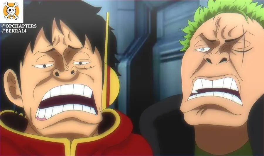One Piece chương 1075, trang 16