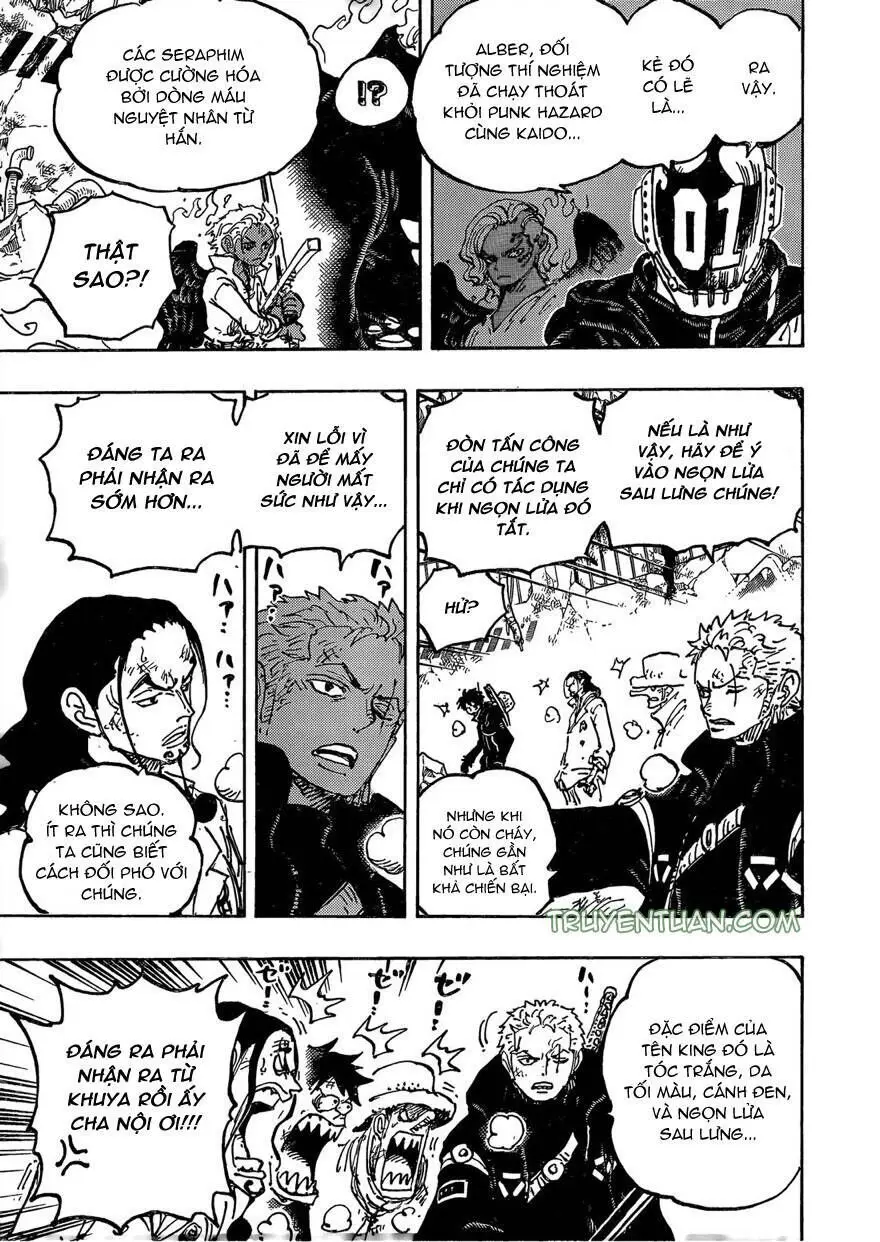 One Piece chương 1077, trang 8