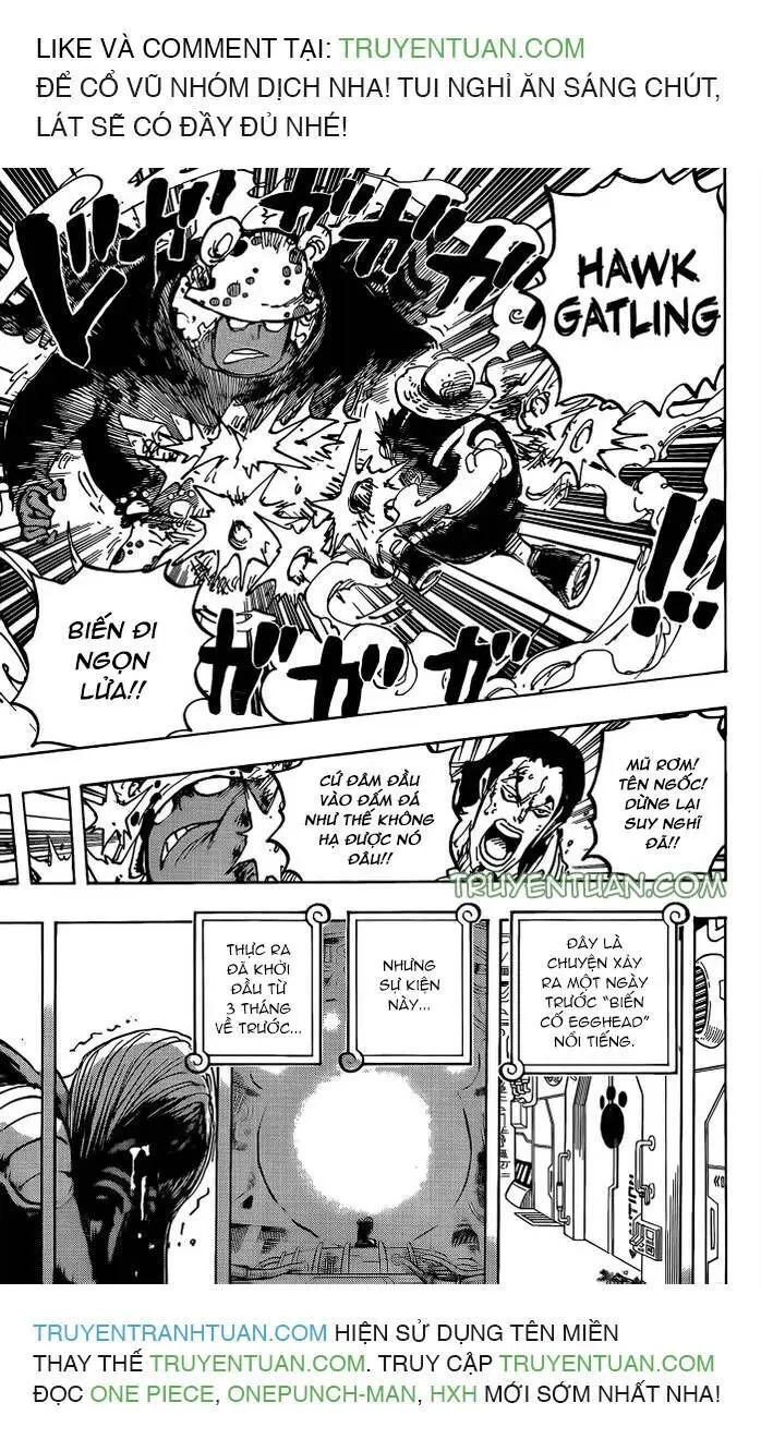 One Piece chương 1078, trang 9