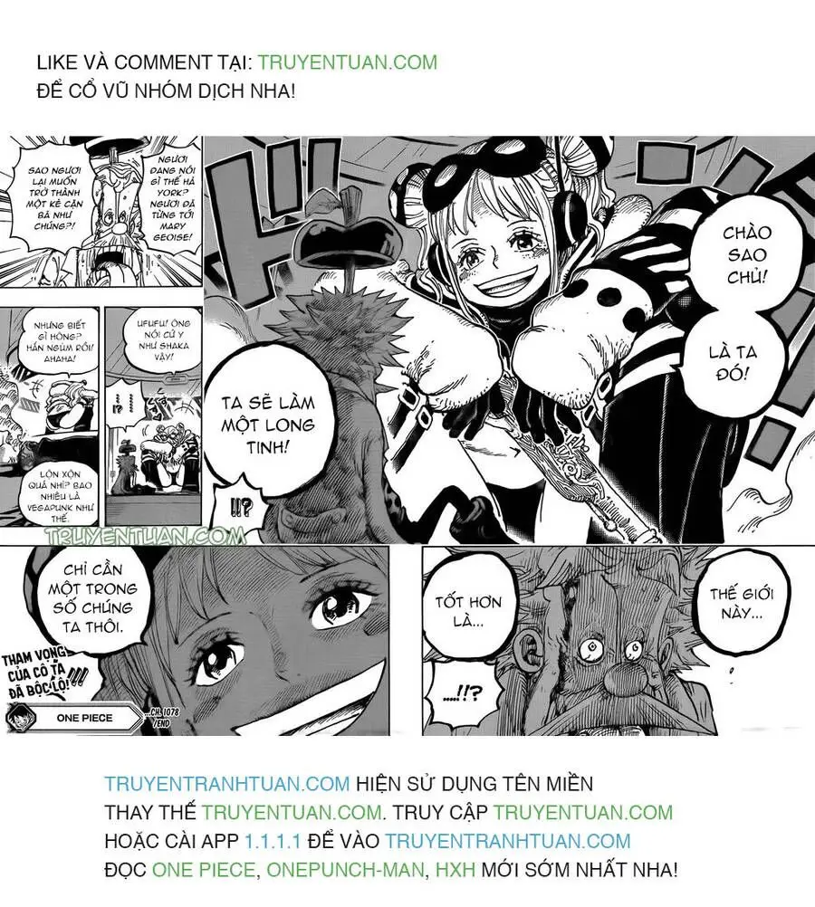 One Piece chương 1078, trang 14