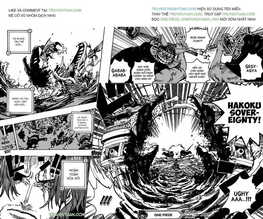 One Piece chương 1079, trang 12