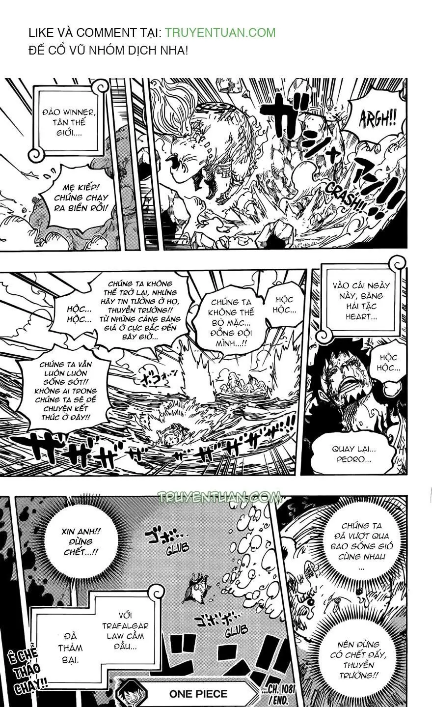 One Piece chương 1081, trang 15